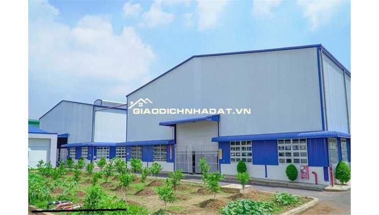 TAICAL GIÁ RẺ (TAICAL.VN)  - CHO THUÊ XƯỞNG NHỰA NHÀ MÁY NHỰA CỦ CHI BÌNH DƯƠNG 10000M2 GIÁ RẺ